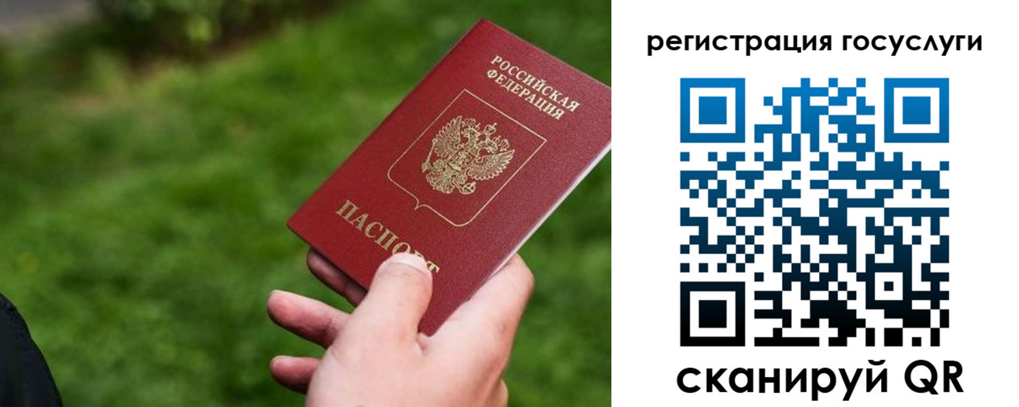 временная регистрация 2025 в Коле